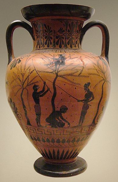 A vase showing young slaves gathering olives