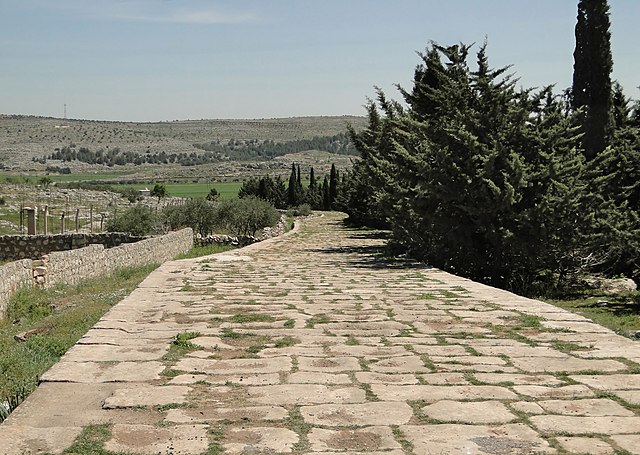 A roman road in Syria 